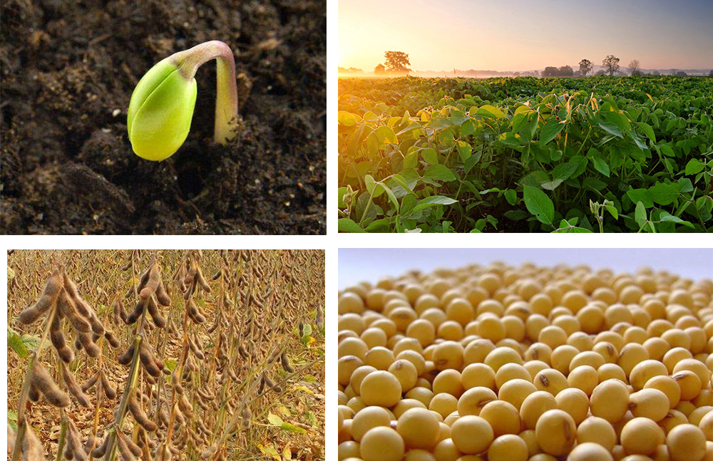 1553691109155079.jpg 9527.jpg